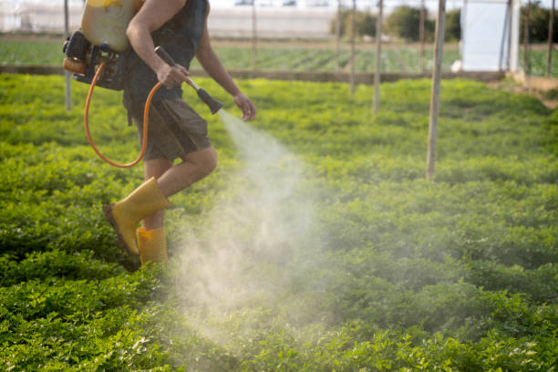 Best Best Pest Control Companies  in Hudson, IA