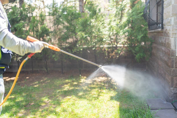 Best Best Pest Control Companies  in Hudson, IA