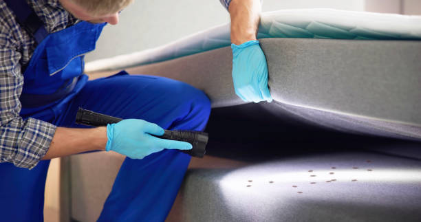 Best Exterminator Services  in Hudson, IA