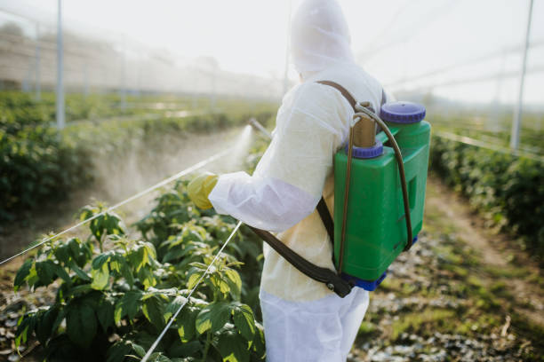 Best Pest Removal Services  in Hudson, IA